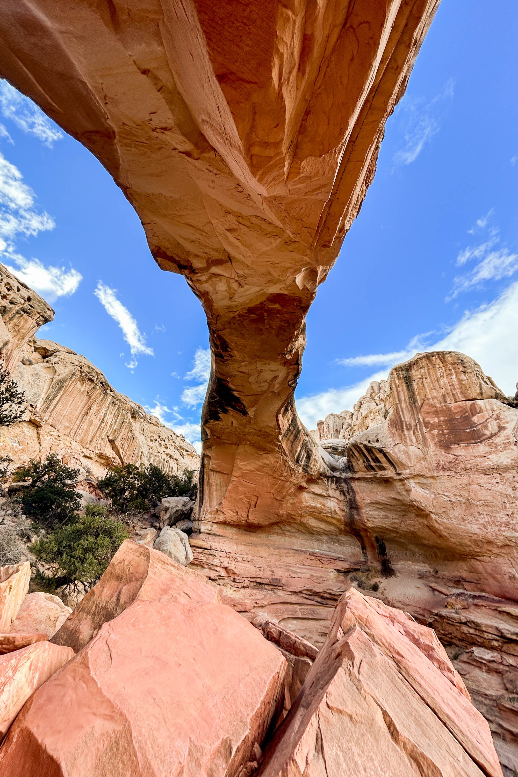 Best hikes at capitol reef 2025